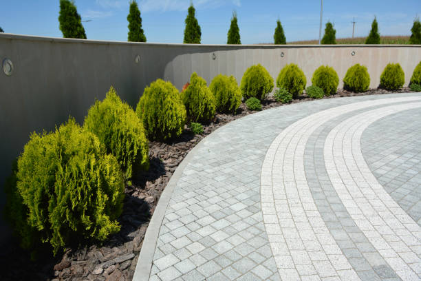 Cresaptown, MD Driveway Pavers Company